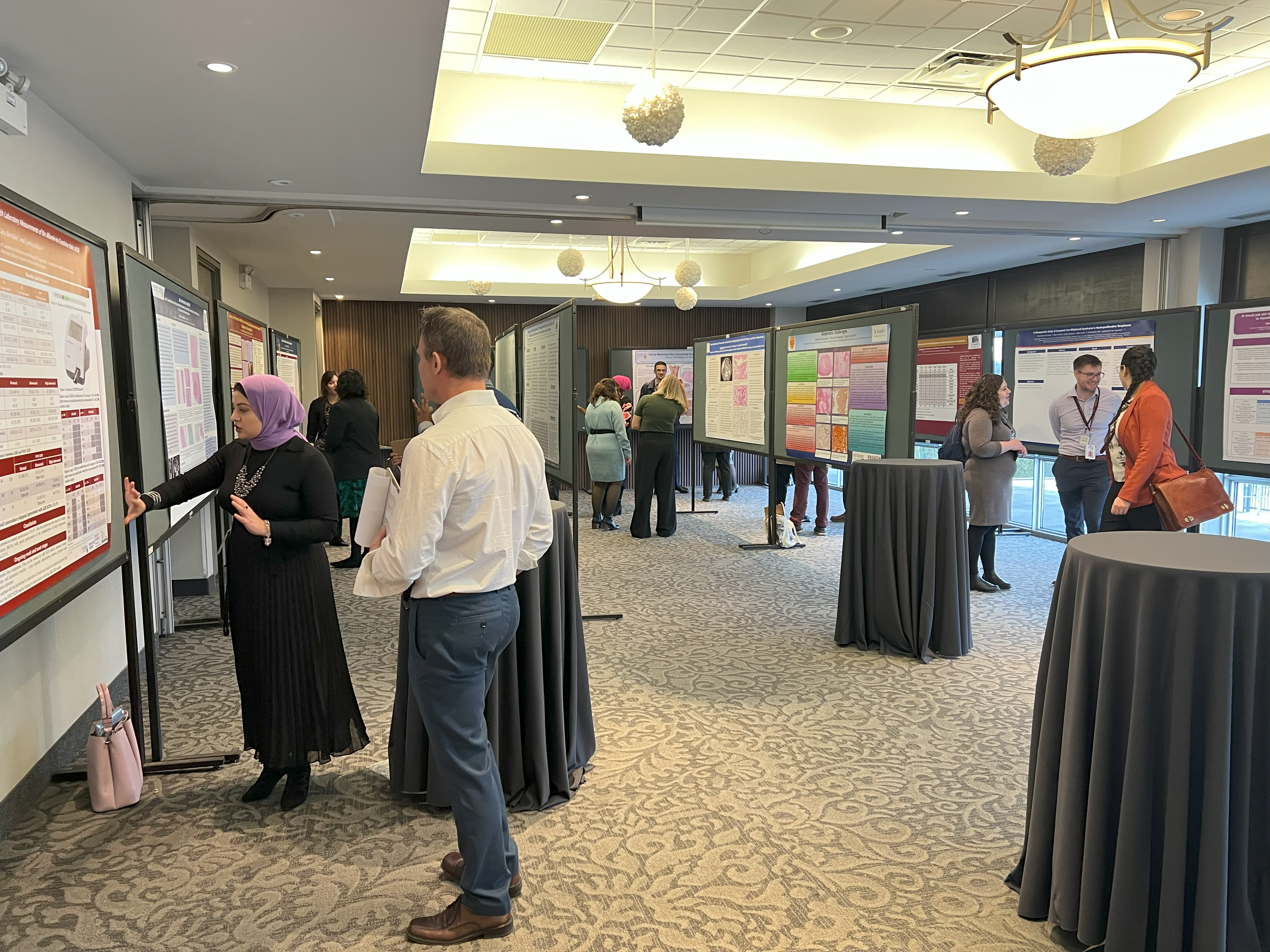 Photo of the posters at 2024 research day